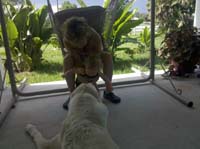 002IMG_20100818_171439