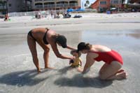 img029