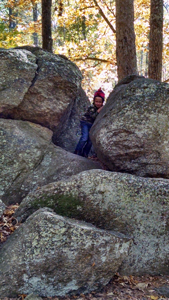 IMG_20141107_134803853_HDR