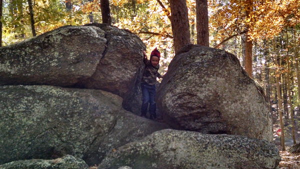 IMG_20141107_134843833_HDR