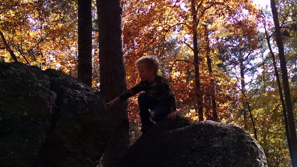 IMG_20141107_145003532