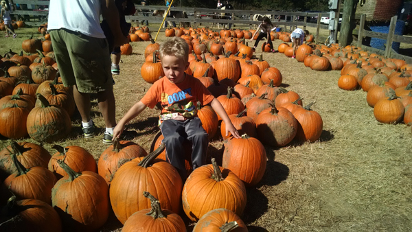 IMG_20141025_123247446
