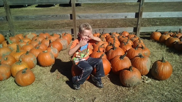 IMG_20141025_123306972
