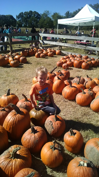 IMG_20141025_123351539