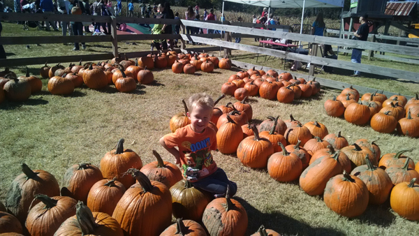 IMG_20141025_123356556