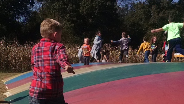 IMG_20141025_130132616