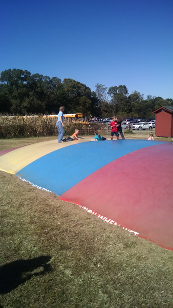 IMG_20141025_130647014